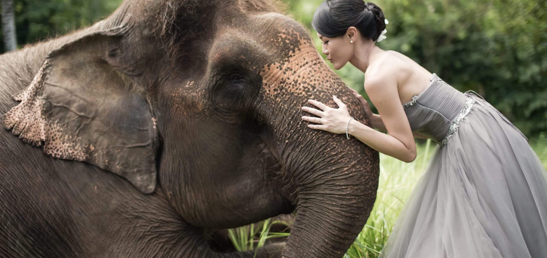 Bali pre-wedding at Elephant Park.